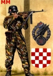 Soldier's Psalm Croatia